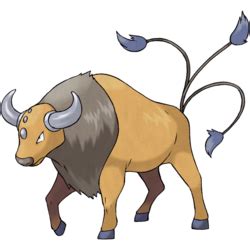 tauros bulbapedia
